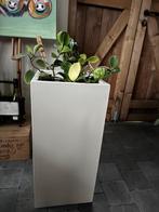 Plantenpot, Tuin en Terras, Ophalen, Kunststof