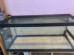 Terrarium, Dieren en Toebehoren, Reptielen en Amfibieën | Toebehoren, Ophalen, Zo goed als nieuw