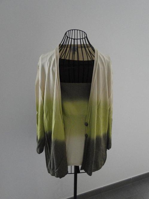 Twinset Mayerline, Kleding | Dames, Truien en Vesten, Gedragen, Maat 46/48 (XL) of groter, Groen, Ophalen of Verzenden