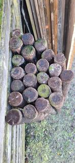 Weidepalen, Dieren en Toebehoren, Stalling en Weidegang