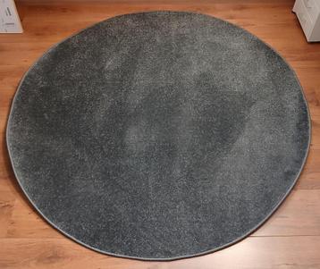 Tapis poil ras rond Ø 150 cm gris foncé beschikbaar voor biedingen