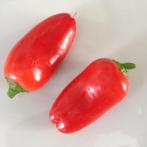 5 zaden rode kleine snackpaprika "Lunchbox red", Verzenden, Voorjaar, Zaad