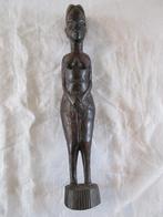 Beeld in Afrikaanse kunst houtsnijwerk donker houten beeld, Ophalen