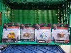 Lot de dragons 12 €, Kinderen en Baby's, Speelgoed | Actiefiguren, Ophalen, Zo goed als nieuw