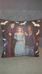 Nachtwacht kussen, Ophalen of Verzenden, Zo goed als nieuw