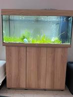 Juwel 240 led, Dieren en Toebehoren, Ophalen, Zo goed als nieuw, Gevuld zoetwateraquarium
