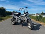 Honda Dax ST50G uit1975, 49 cm³, Comme neuf, Classe B (45 km/h), Enlèvement