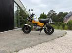 2022 Honda Monkey - Kitaco big bore kit, Motoren, Bedrijf, Overig