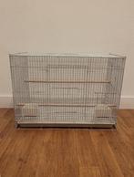Cage oiseaux (transport), Ophalen, Nieuw, Metaal, Vogelkooi