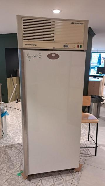 Liebherr professionele bakkersdiepvries, Elektronische apparatuur, Vriezers en Diepvrieskisten, Ophalen, Gebruikt