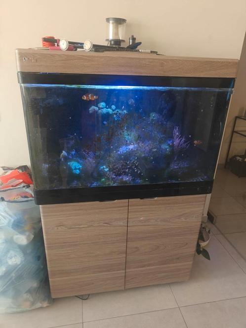 Red sea  plus levend haven  zeeaquarium, Dieren en Toebehoren, Vissen | Aquaria en Toebehoren, Zo goed als nieuw, Ophalen of Verzenden