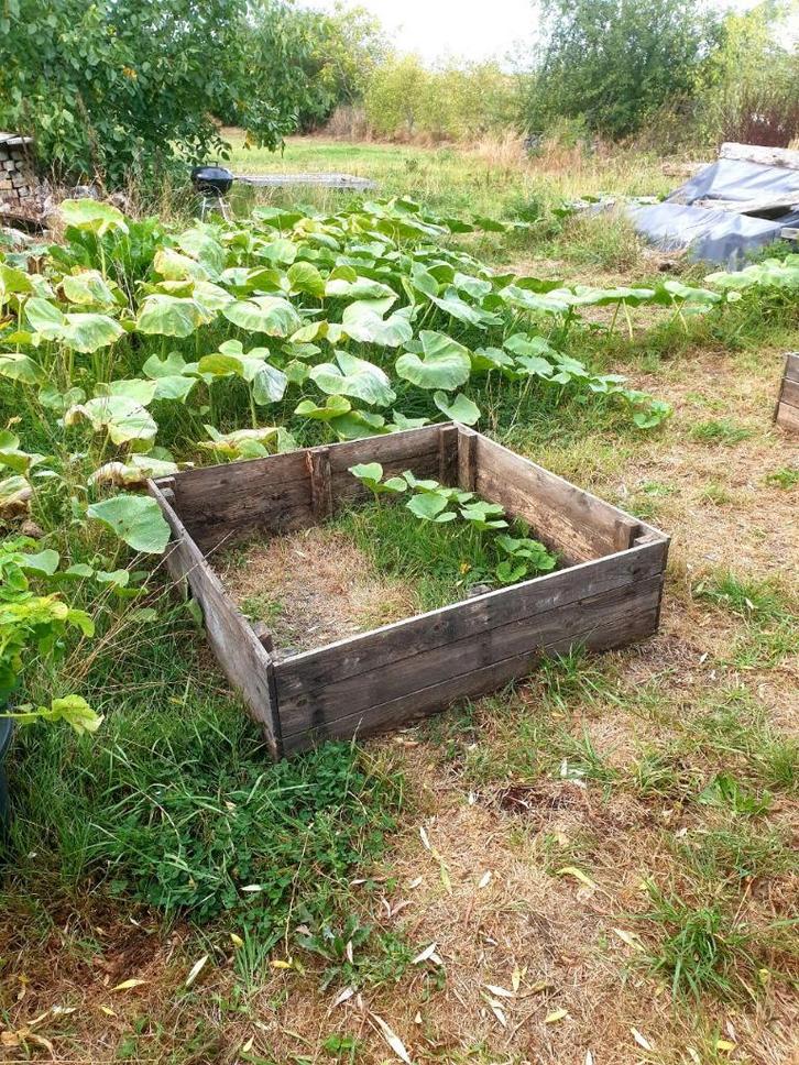 Moestuin Kweekbakken Hout, Tuin en Terras, Bloembakken en Plantenbakken, Gebruikt, Hout, Balkon, Tuin, 30 tot 60 cm, 100 cm of meer
