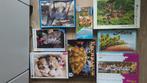 Pakket puzzels en gezelschapsspelletjes, Ophalen