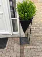 Smeedijzeren zwarte decoratieve plantenbakken gratis plant, Ophalen