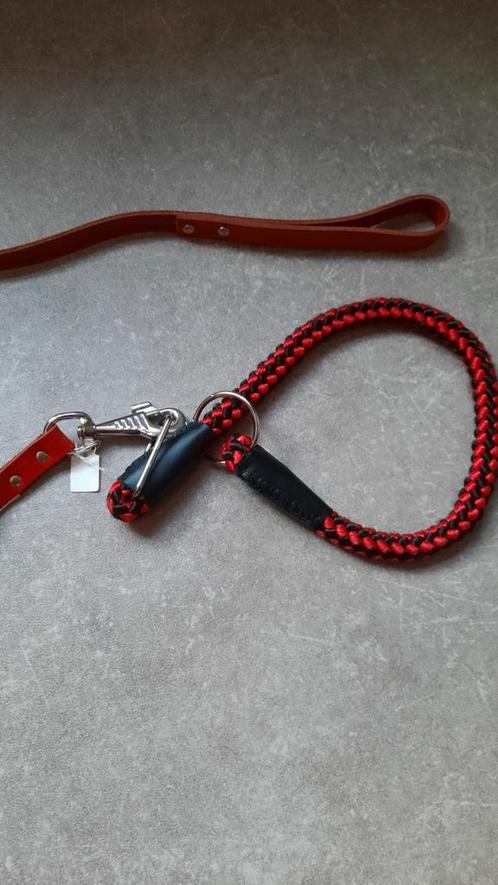 Lederen hondenriem met halsband.NIEUW, Dieren en Toebehoren, Hondenhalsbanden en Penningen, Nieuw, Ophalen of Verzenden