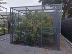 Prachtige grote VOLIERE 6m x 3,2m x 2,5m hoogte. 3 jaar oud, Dieren en Toebehoren, Ophalen, Zo goed als nieuw, Aluminium, Volière