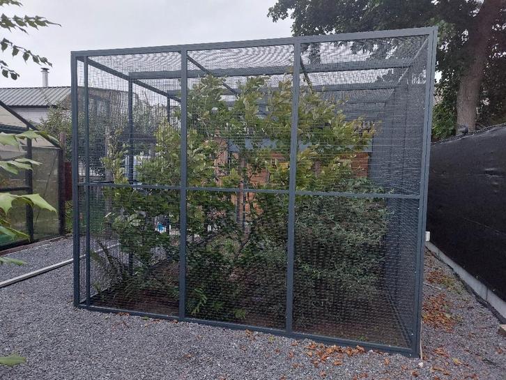 Prachtige grote VOLIERE 6m x 3,2m x 2,5m hoogte. 3 jaar oud, Dieren en Toebehoren, Vogels | Hokken en Kooien, Zo goed als nieuw