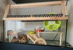 Hamster verblijf, Dieren en Toebehoren, Ophalen, Zo goed als nieuw, Hamster