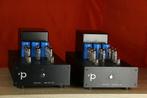 Pink Faun Tube Amp 1x50 / 1 x 50 TRADE.INRUIL. Mooie mono's., Audio, Tv en Foto, Buizenversterker, Ophalen of Verzenden, Versterker