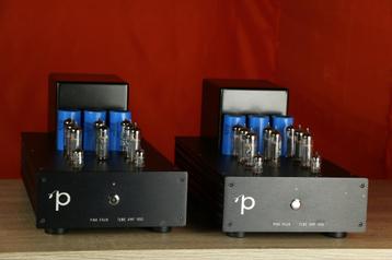 Pink Faun Tube Amp 1x50 / 1 x 50 TRADE.INRUIL. Mooie mono's. beschikbaar voor biedingen