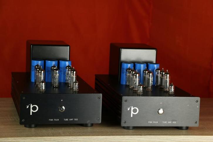 Pink Faun Tube Amp 1x50 / 1 x 50 TRADE.INRUIL. Mooie mono's., Audio, Tv en Foto, Buizenversterker, Versterker, Ophalen of Verzenden