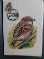 Postkaarten vogels, Collections, Cartes postales | Animaux, Enlèvement ou Envoi, 1980 à nos jours, Non affranchie, Oiseaux