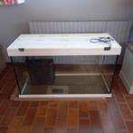 aquarium 400 litres, Ophalen, Gebruikt, Leeg aquarium
