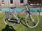 Electrische fiets Giant Twist met 2 batterijen, Fietsen en Brommers, Ophalen, Giant