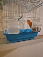 Vogels, Dieren en Toebehoren, Tam