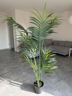 Plante artificielle intérieur/extérieur (NEUVE), Enlèvement, Neuf, Intérieur