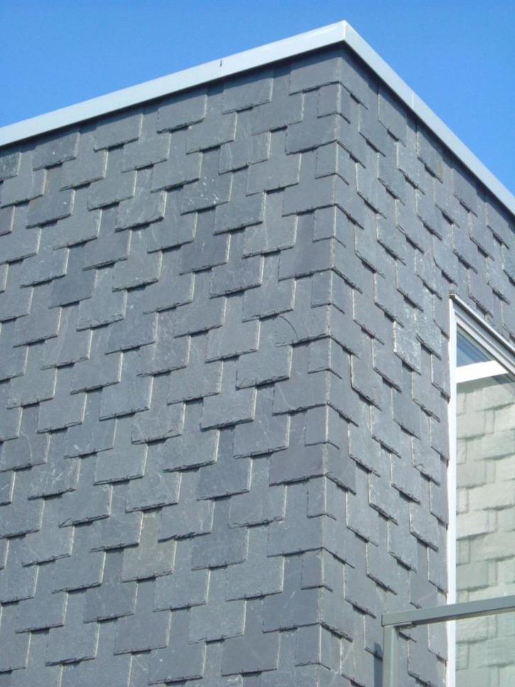 Douglas natuurleien - 19x32cm - Grote partij, Doe-het-zelf en Bouw, Dakpannen en Dakbedekking, Zo goed als nieuw, Overige typen