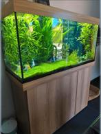 Aquarium Juwel 350, Ophalen, Zo goed als nieuw
