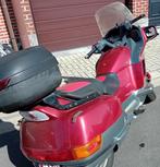 Honda Pacific Coast - PC 800, Tourisme, Plus de 35 kW, 800 cm³, 2 cylindres