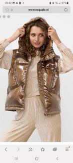 Body warmer esqualo maat 46 nieuw 3de prijsdaling, Neuf, Taille 46/48 (XL) ou plus grande, Enlèvement ou Envoi, Esqualo