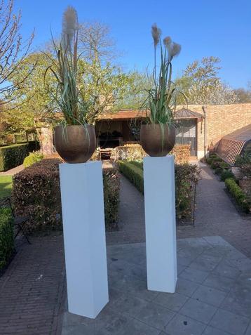 2 zuilen met bloemen  beschikbaar voor biedingen