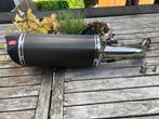 Uitlaat remus carbon vespa GTS en GTV, Motoren, Motoren | Piaggio, Particulier