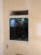 Paludarium 1m, op 80cm (70 diep), Animaux & Accessoires, Poissons | Aquariums & Accessoires, Enlèvement, Neuf, Aquarium d'eau douce rempli