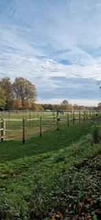 Prive stal 9 boxen + toebehoren, Dieren en Toebehoren