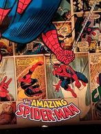 Prachtige Comics poster SPIDERMAN!, Boeken, Ophalen of Verzenden, Zo goed als nieuw