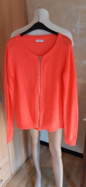Gilet Jacqueline de Yong xs beschikbaar voor biedingen