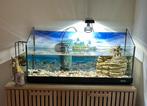 Aquarium schildpad 70x40 perfecte staat met eiland ,, Dieren en Toebehoren, Ophalen, Zo goed als nieuw