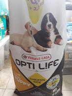 Puppy eten optie life large breed, Dieren en Toebehoren, Ophalen, Hond