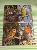 10 cartes postales ayant pour thème oiseaux Korsch Archiv, Enlèvement ou Envoi, Non affranchie, Nature