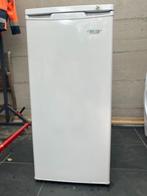 Diepvriezer Friac Delux Staand model - GRATIS, Elektronische apparatuur, Vriezers en Diepvrieskisten, Gebruikt, 120 tot 140 cm