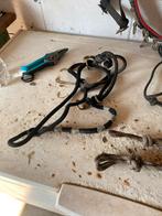 licol éthologique ,, Enlèvement, Utilisé, Autres espèces