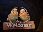 Houten bordje grasparkiet welkom, Huis en Inrichting, Woonaccessoires | Kussens, Ophalen of Verzenden