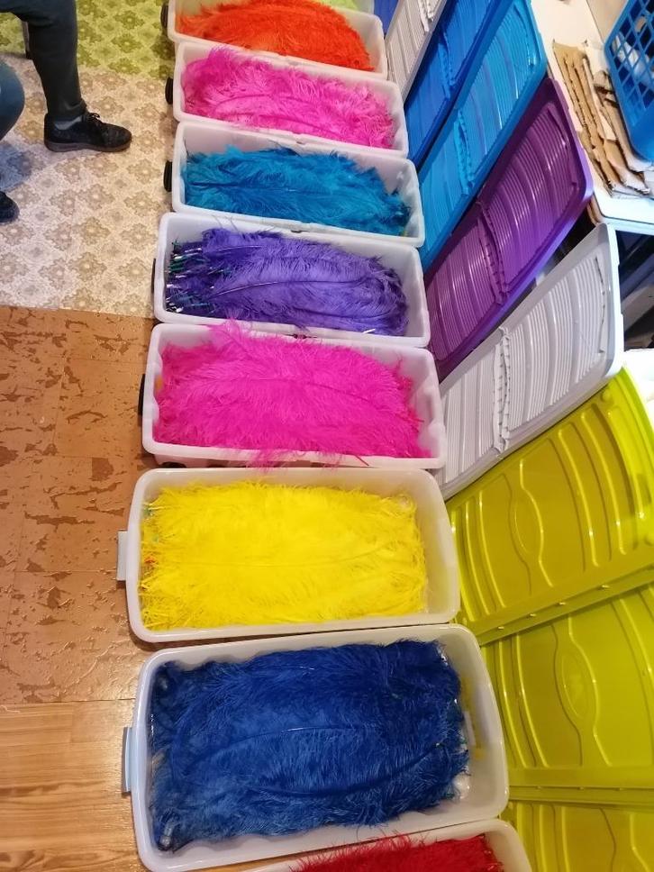 GEKLEURDE PLUIMEN / VEREN, Hobby en Vrije tijd, Feestartikelen, Ophalen