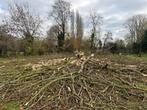 bois de chauffage, Tuin en Terras, Brandhout, 6 m³ of meer, Ophalen of Verzenden, Overige houtsoorten