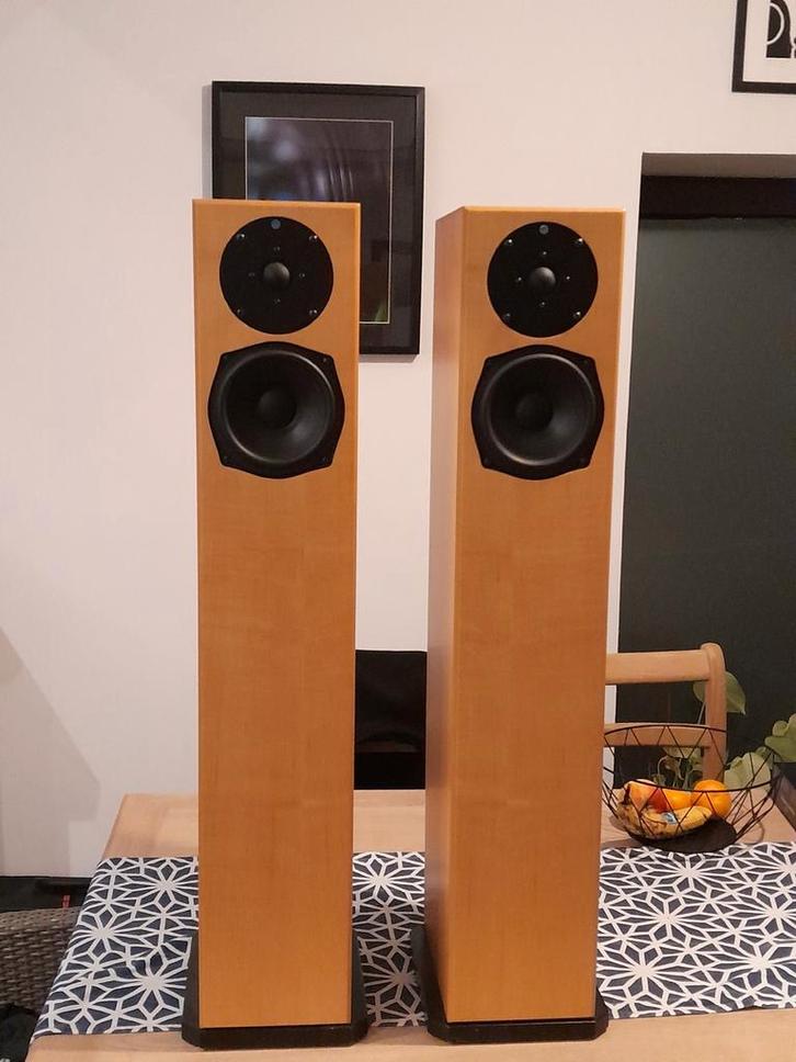 Totem staff, TV, Hi-fi & Vidéo, Enceintes, Enlèvement