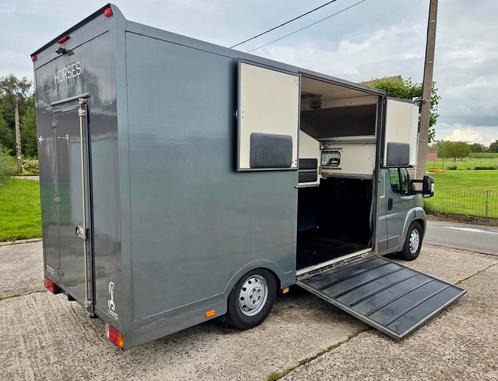 🐴Citroën Jumper 2.2HDI Paardencamionette Horses, Dieren en Toebehoren, Paarden en Pony's | Trailers en Aanhangwagens, Ophalen
